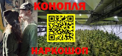 твердый Заводоуковск