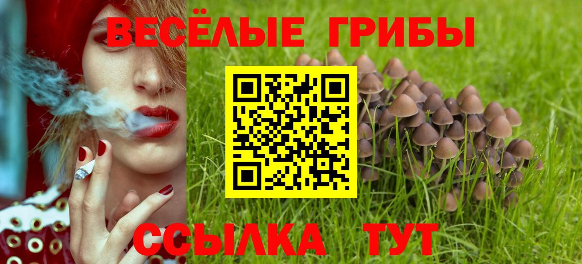 Дальнегорск  Каннабис  Cocaine  Экстази  НБОМе  Меф МЯУ МЯУ  LSD-25  Альфа ПВП СОЛЬ   Вход с VPN  ТГК  Меф МЯУ МЯУ  
