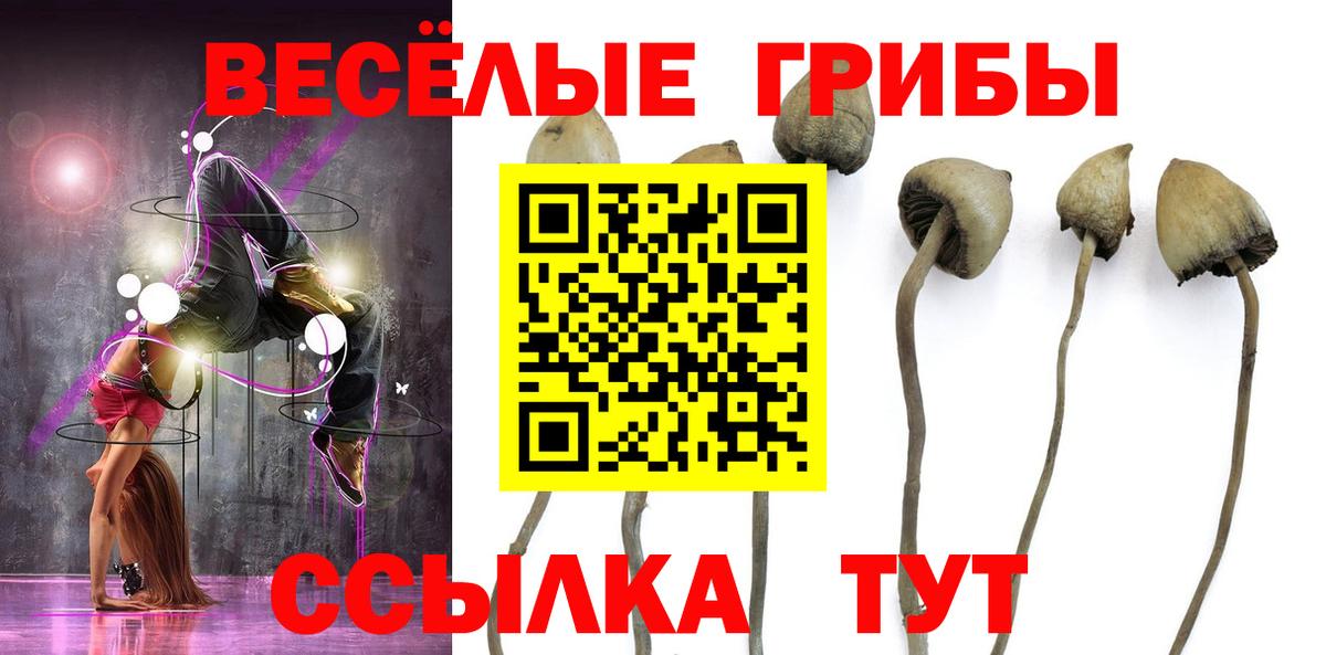 Галлюциногенные грибы ЛСД Дальнегорск