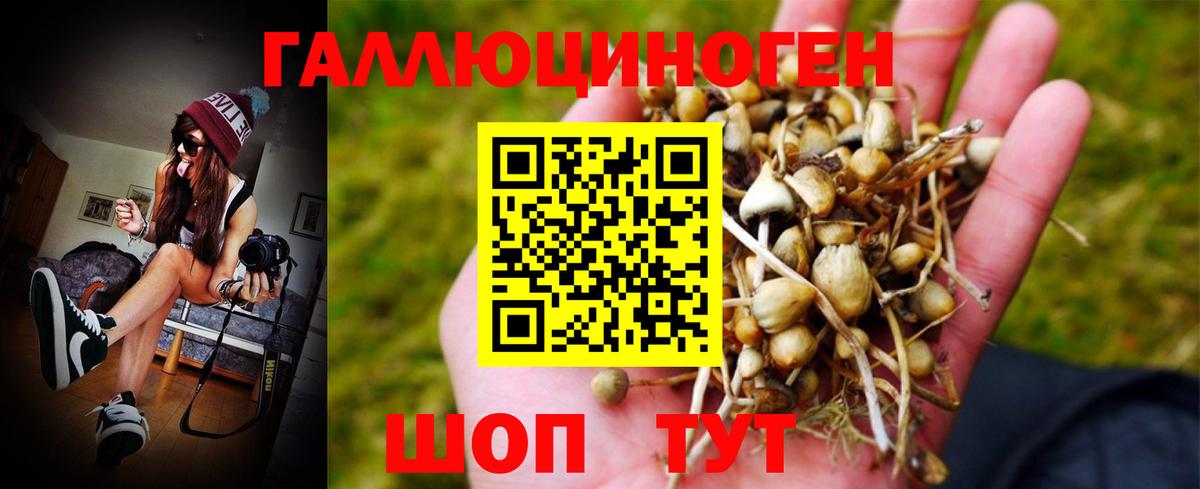 Дальнегорск  Галлюциногенные грибы Magic Shrooms  Вход с VPN 