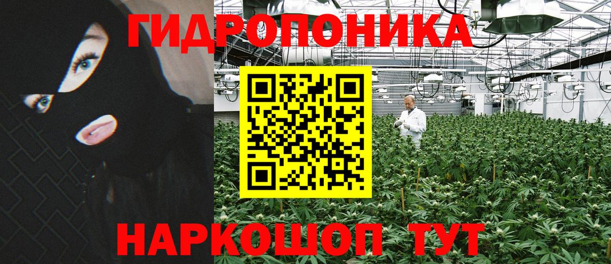 Марихуана сатива Дальнегорск